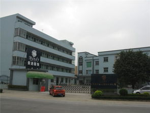 东莞市农村社区集体资产管理网视角下的亿溢厂资产管理探索